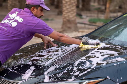الباقات